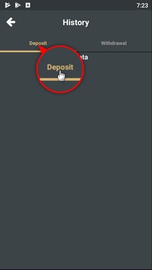 Steps to Check Your 9KING Deposit & Withdrawal Record-3a