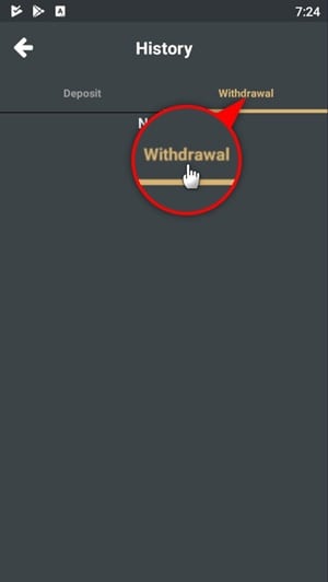 Steps to Check Your 9KING Deposit & Withdrawal Record-3b