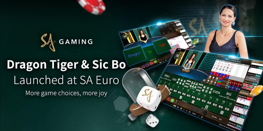 Online Casino Gaming in SA Gaming